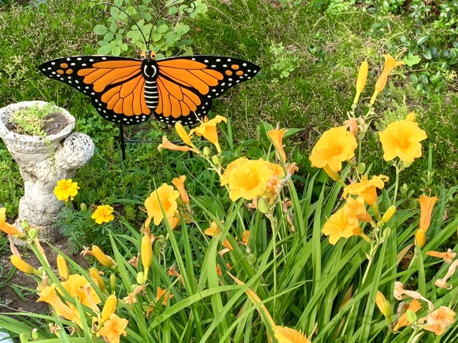 IMG_5923.jpg?type=w966