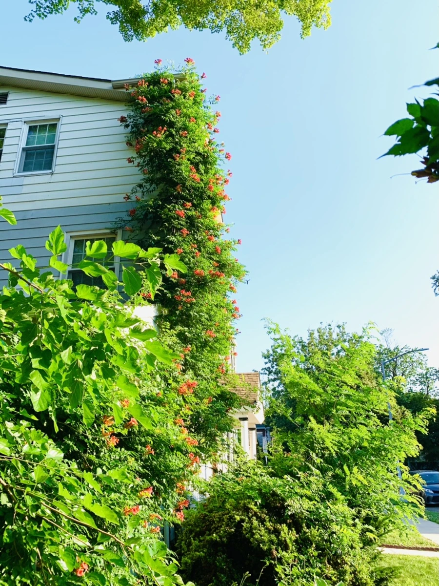 IMG_8251.jpg?type=w966