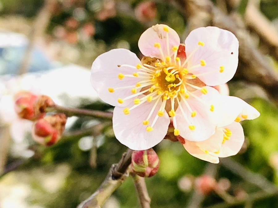 IMG_0264.jpg?type=w966