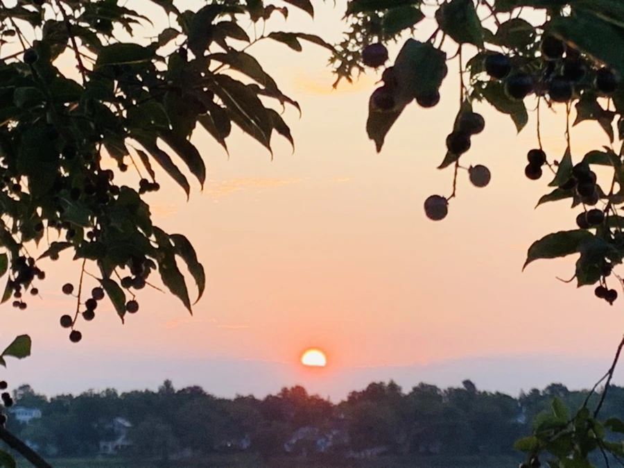 IMG_4658.jpg?type=w966