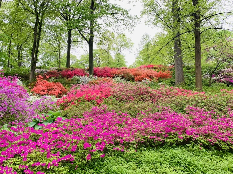 IMG_9934.jpg?type=w966