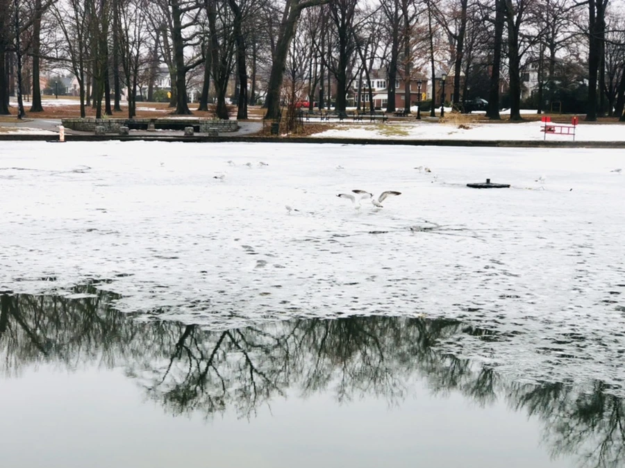 IMG_5492.jpg?type=w966