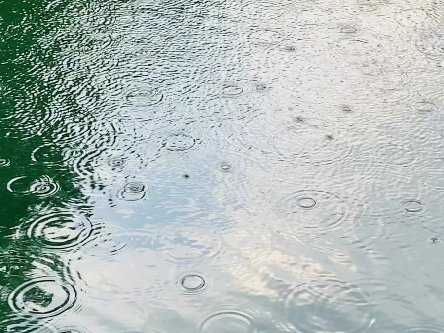 IMG_1715.jpg?type=w966