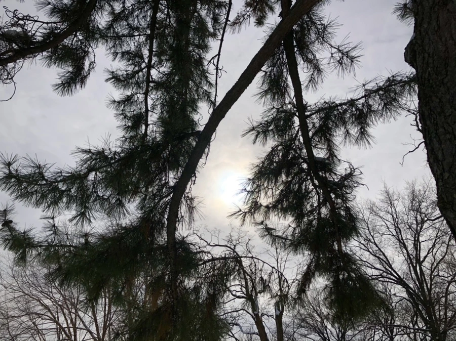 IMG_2143.jpg?type=w966