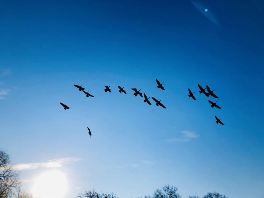 IMG_2287.jpg?type=w966