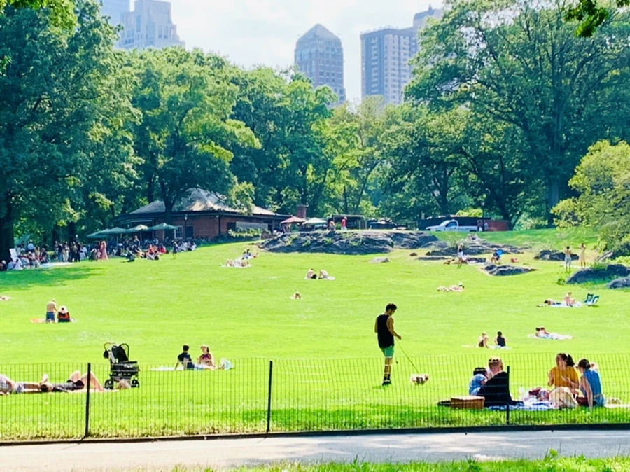 IMG_0671.jpg?type=w966