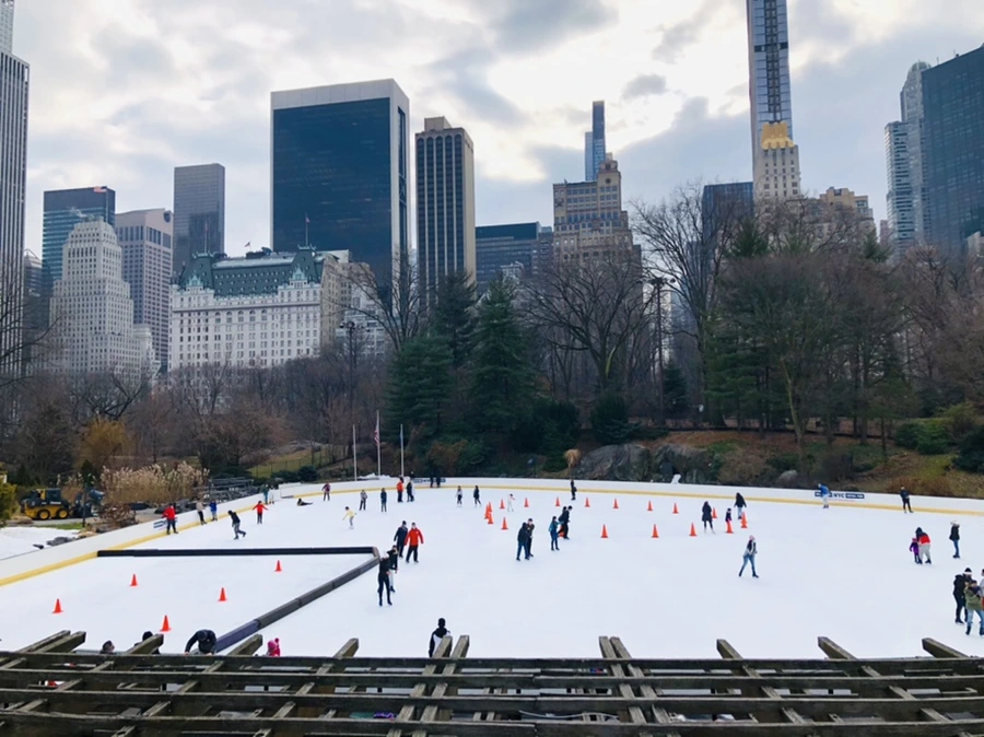 IMG_2431.jpg?type=w966