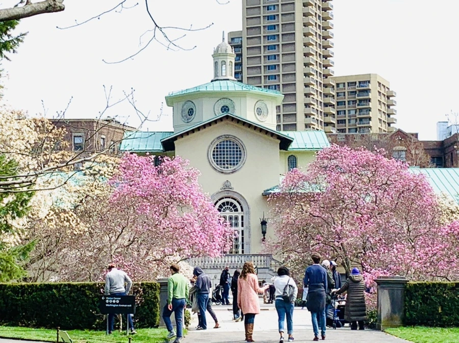 IMG_7271.jpg?type=w966