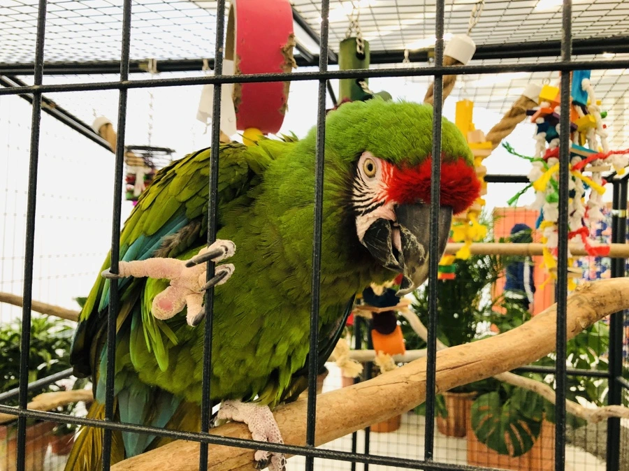 IMG_6713.jpg?type=w966