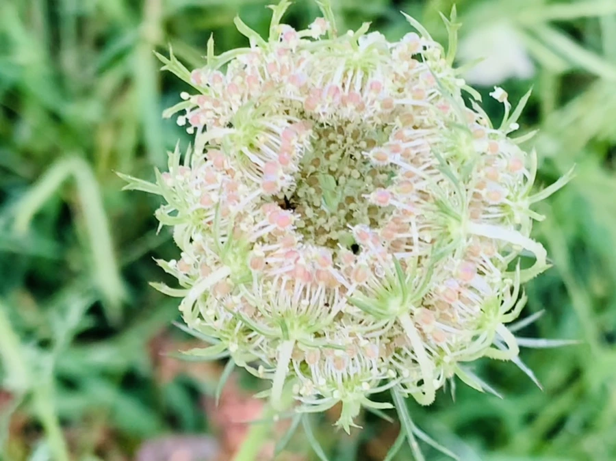 IMG_7760.jpg?type=w966