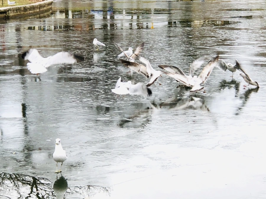 IMG_8948.jpg?type=w966