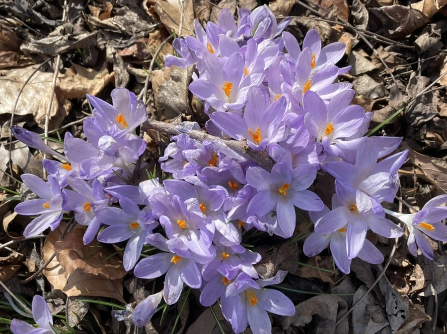 IMG_5332.jpg?type=w966