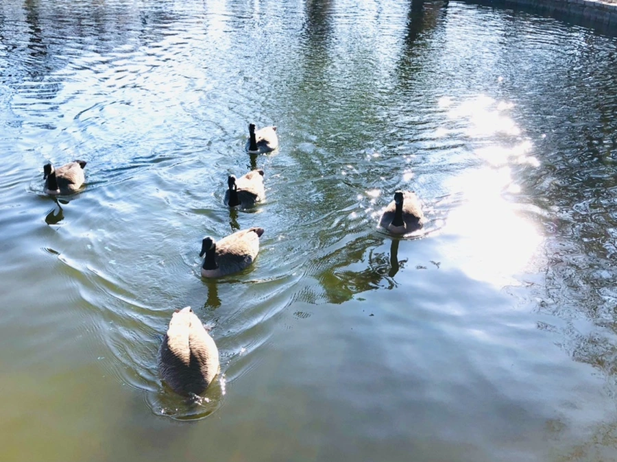 IMG_0292.jpg?type=w966