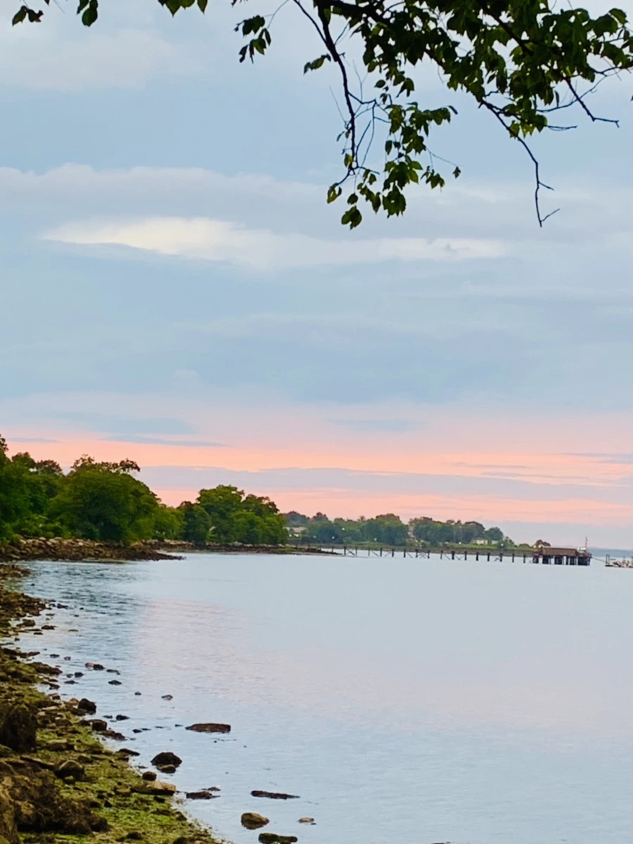 IMG_3055.jpg?type=w966