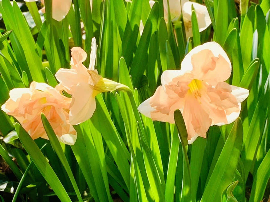 IMG_5807.jpg?type=w966