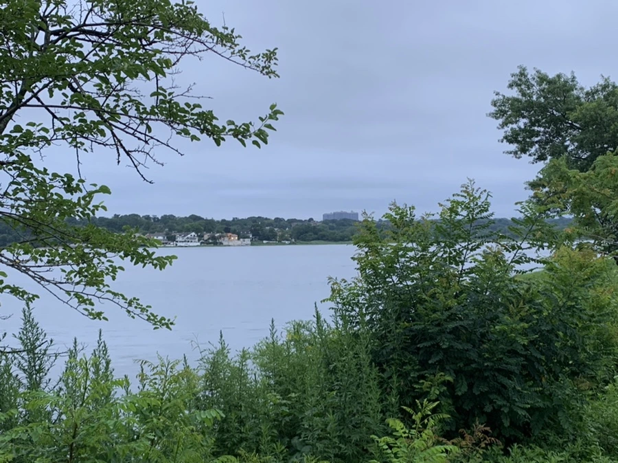 IMG_6934.jpg?type=w966