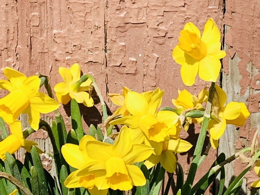 IMG_3410.jpg?type=w966