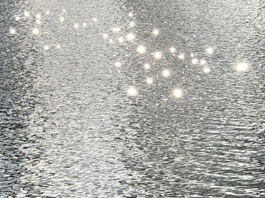 IMG_4375.jpg?type=w966