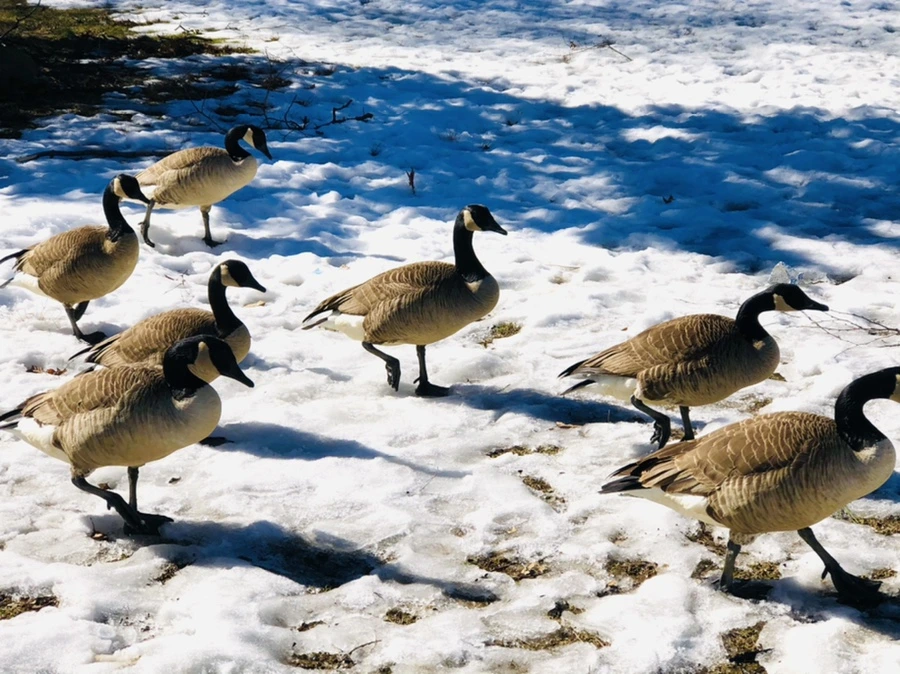 IMG_4863.jpg?type=w966