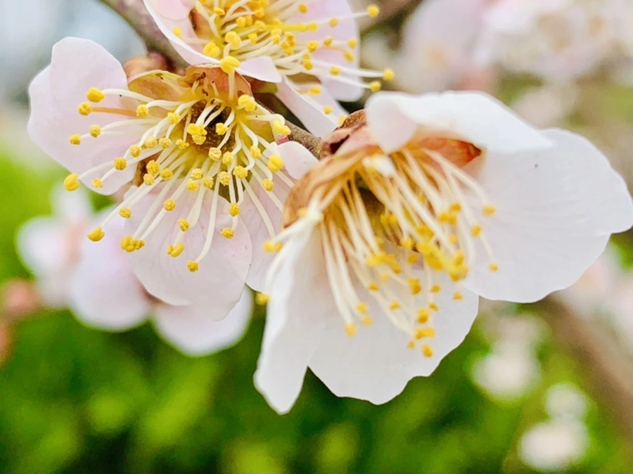 IMG_1689.jpg?type=w966