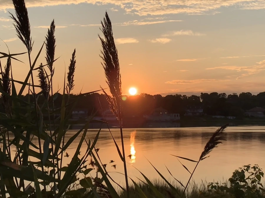 IMG_1281.jpg?type=w966