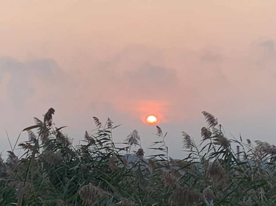 IMG_1093.jpg?type=w966