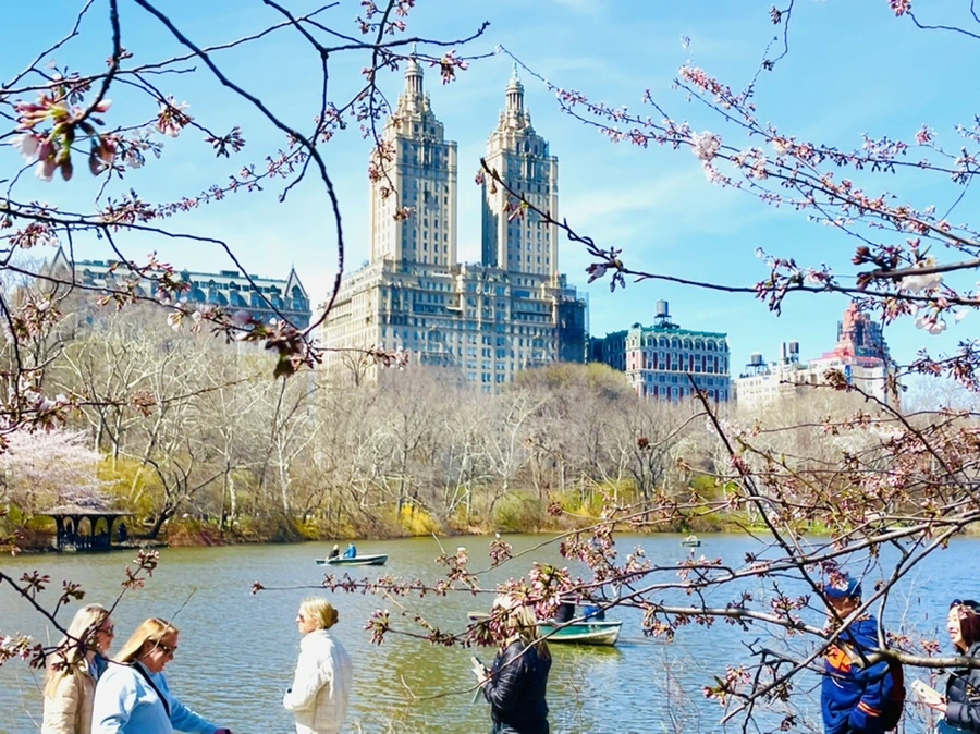 IMG_8412.jpg?type=w966