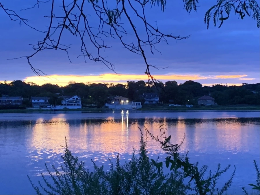 IMG_2250.jpg?type=w966