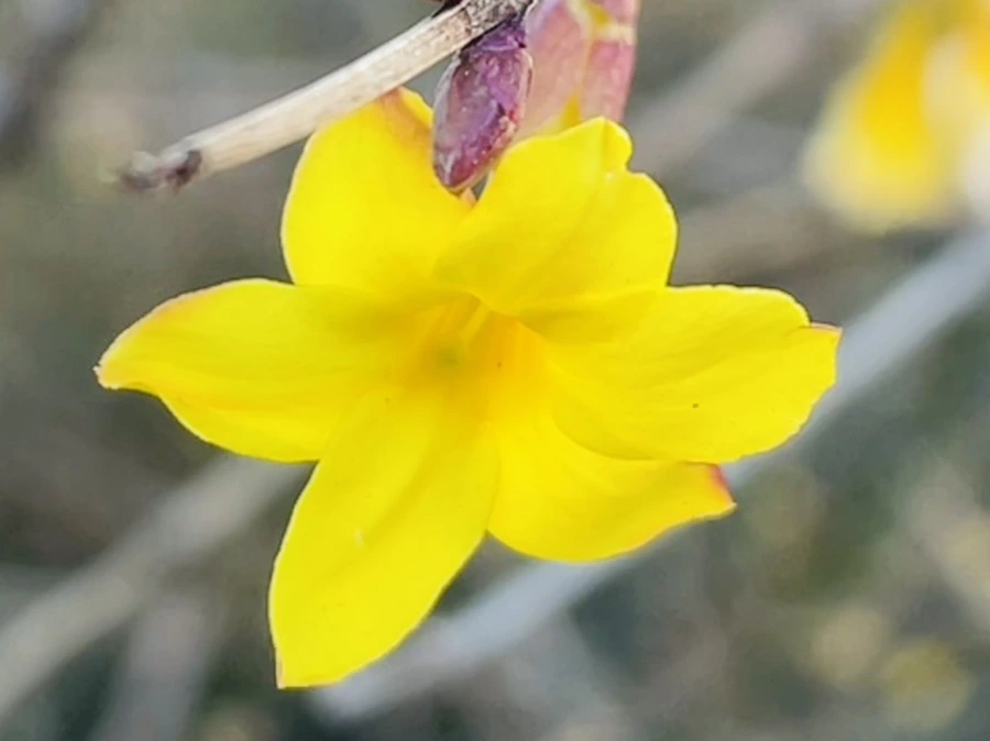 IMG_0167.jpg?type=w966