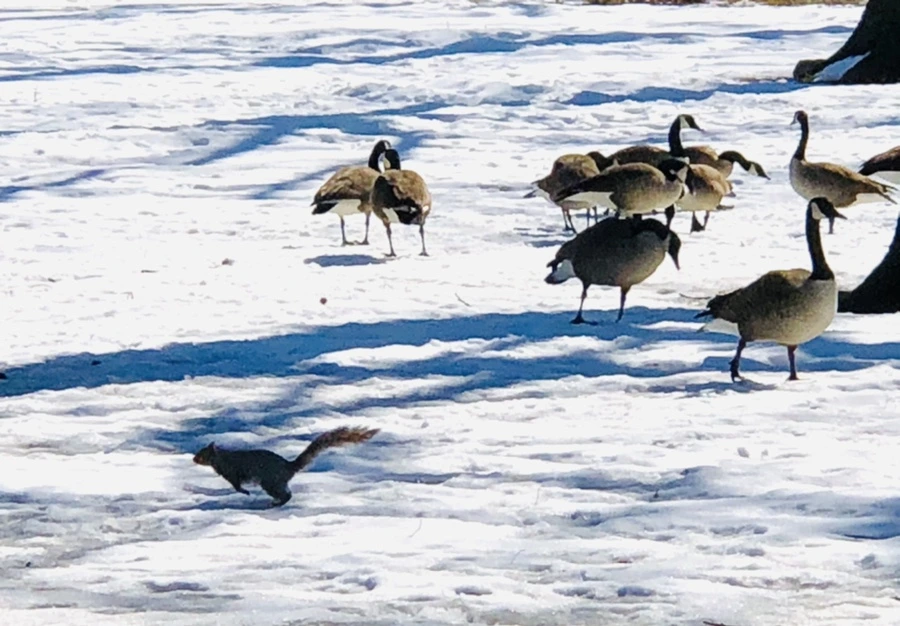 IMG_4528.jpg?type=w966