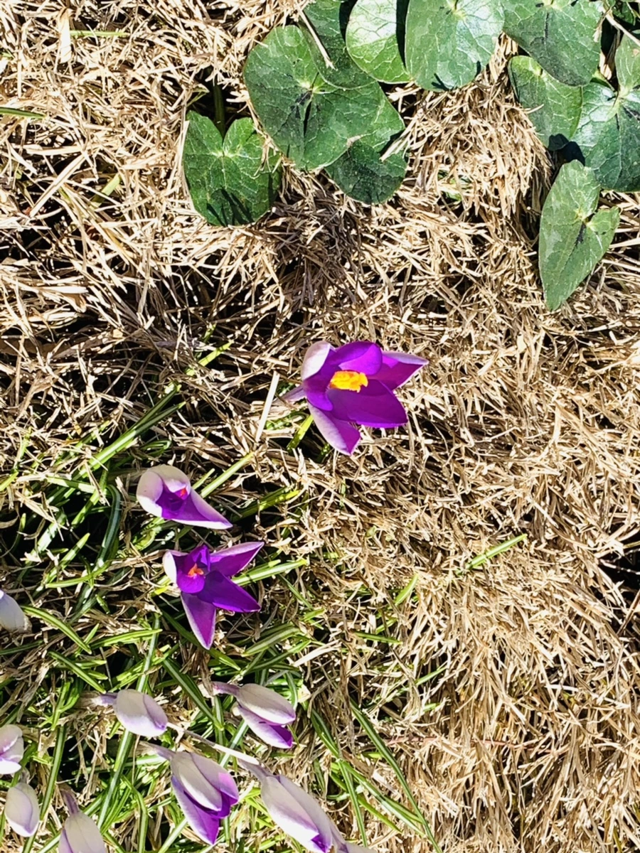 IMG_8228.jpg?type=w966