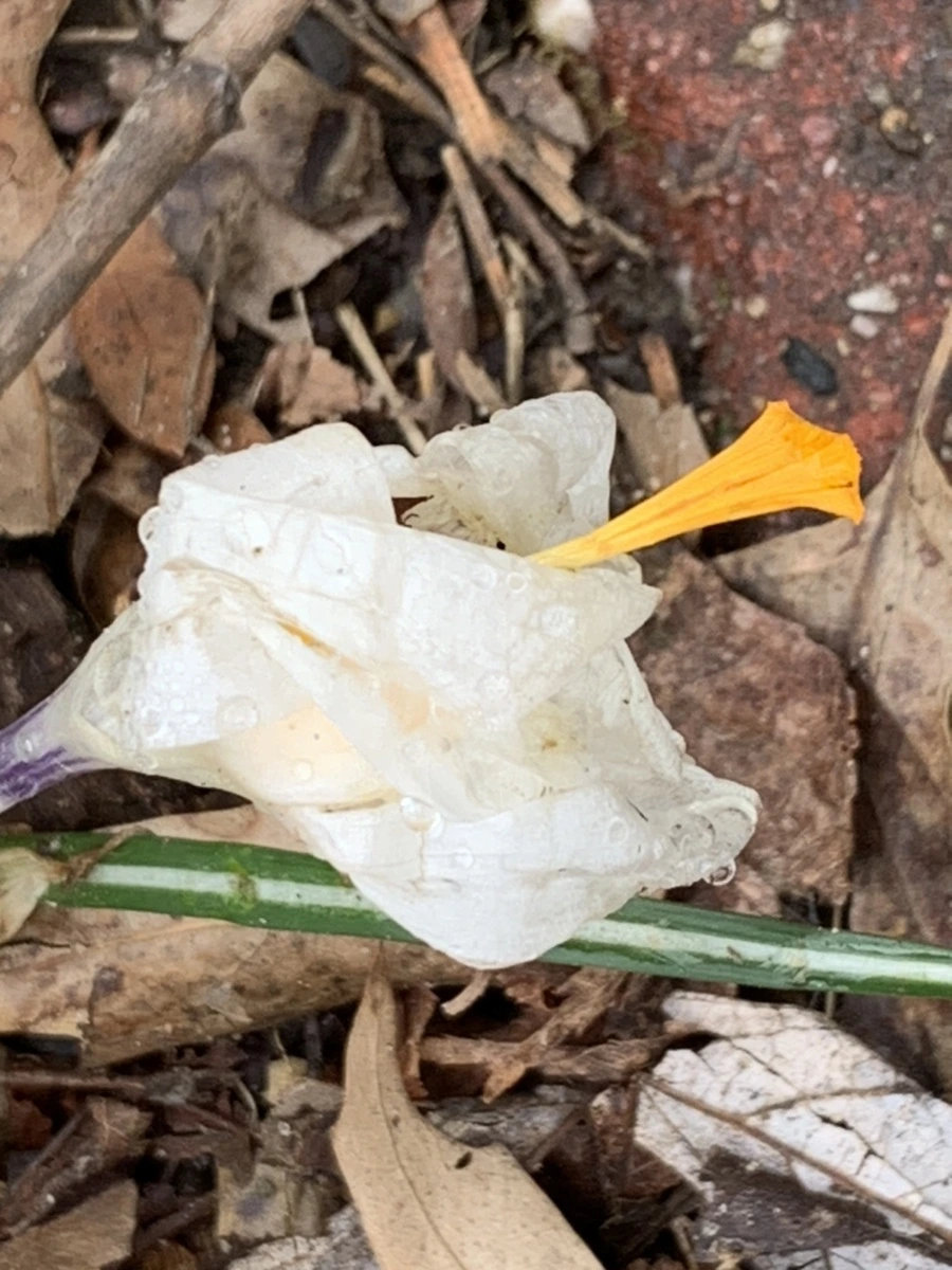 IMG_3770.jpg?type=w966