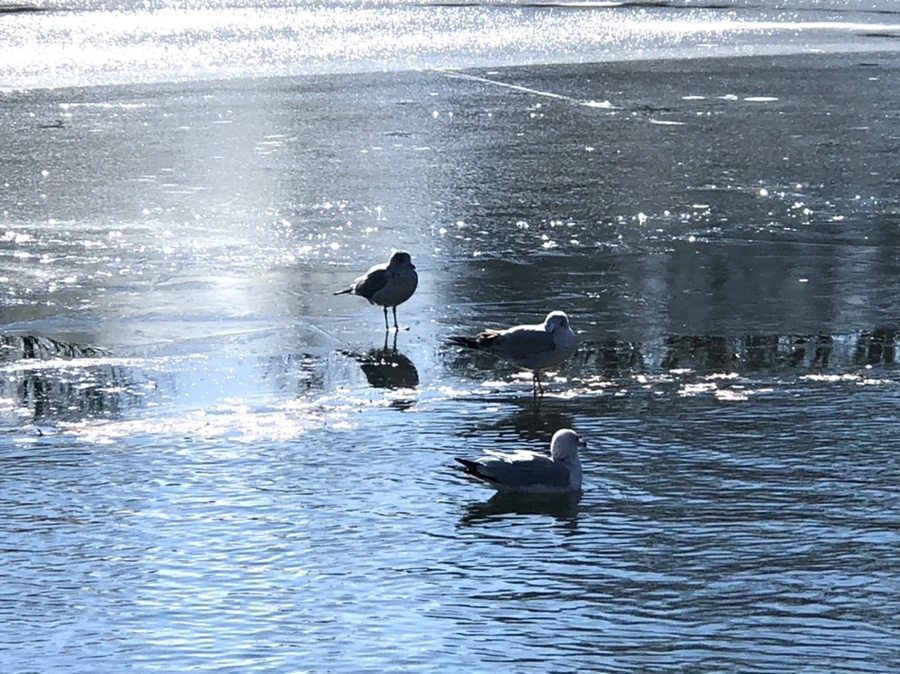 IMG_6866.jpg?type=w966