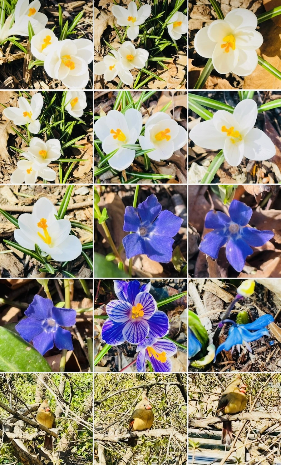 IMG_5672.jpg?type=w966