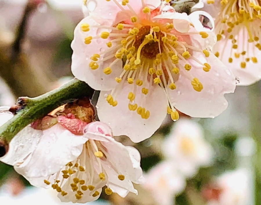 IMG_1839.jpg?type=w966