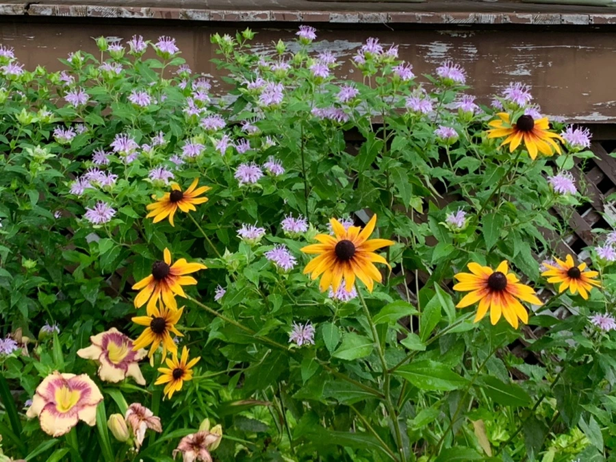 IMG_6881.jpg?type=w966