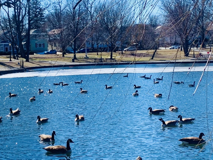 IMG_6835.jpg?type=w966