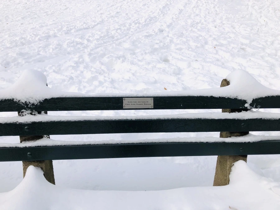 IMG_7261.jpg?type=w966