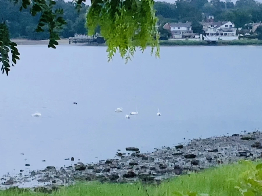 IMG_0714.jpg?type=w966