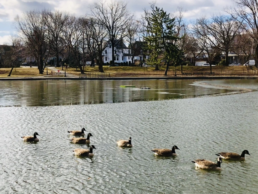 IMG_5210.jpg?type=w966