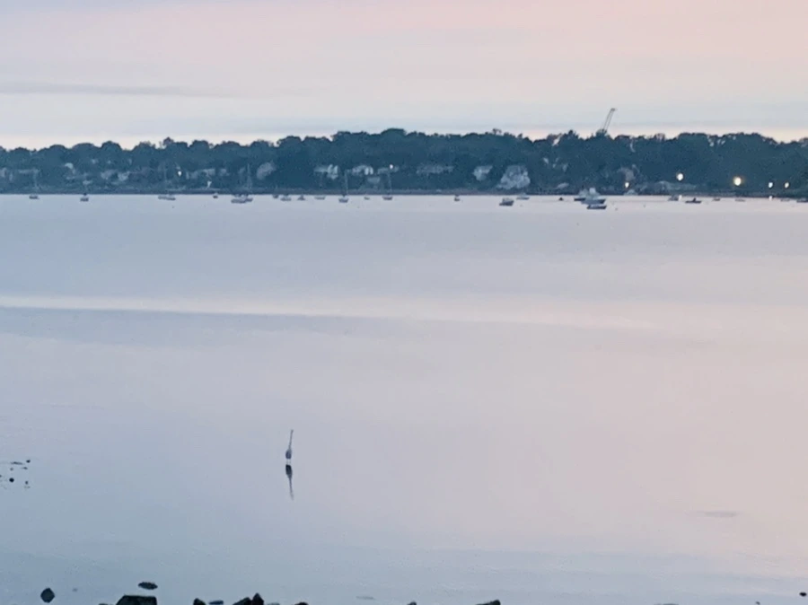 IMG_9531.jpg?type=w966