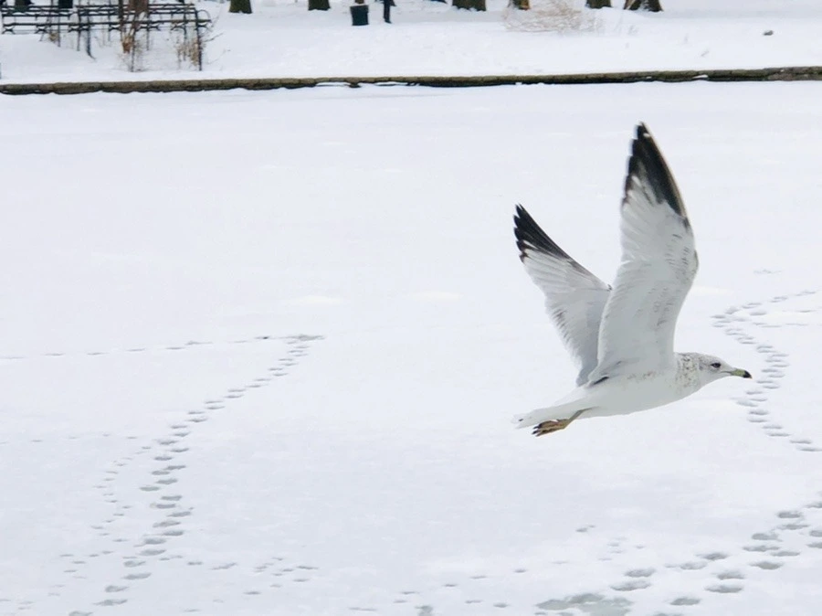 wk-aiq_agHdMESMvqtP1JLk_nsw