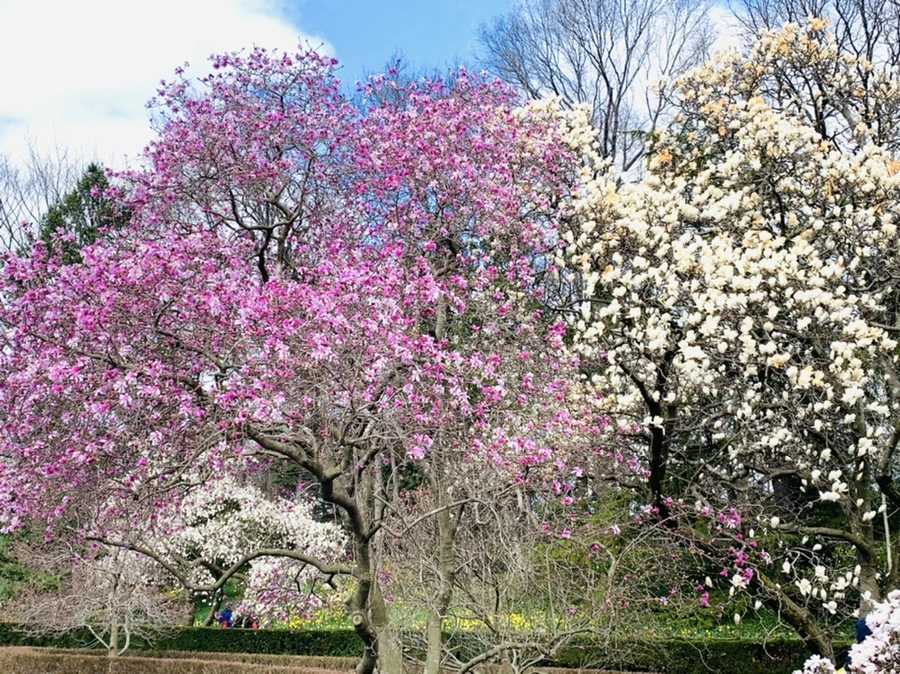 IMG_6508.jpg?type=w966