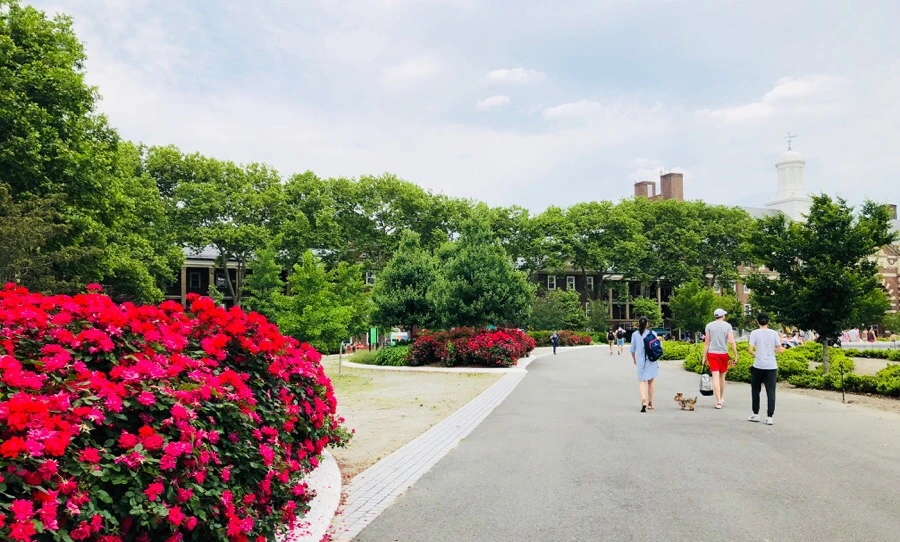 IMG_7424.jpg?type=w966