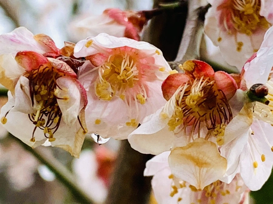 IMG_3953.jpg?type=w966