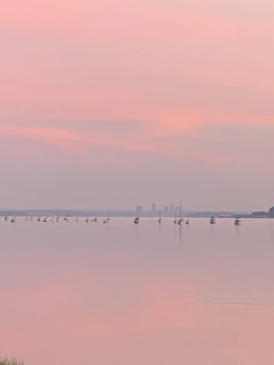 IMG_4347.jpg?type=w966