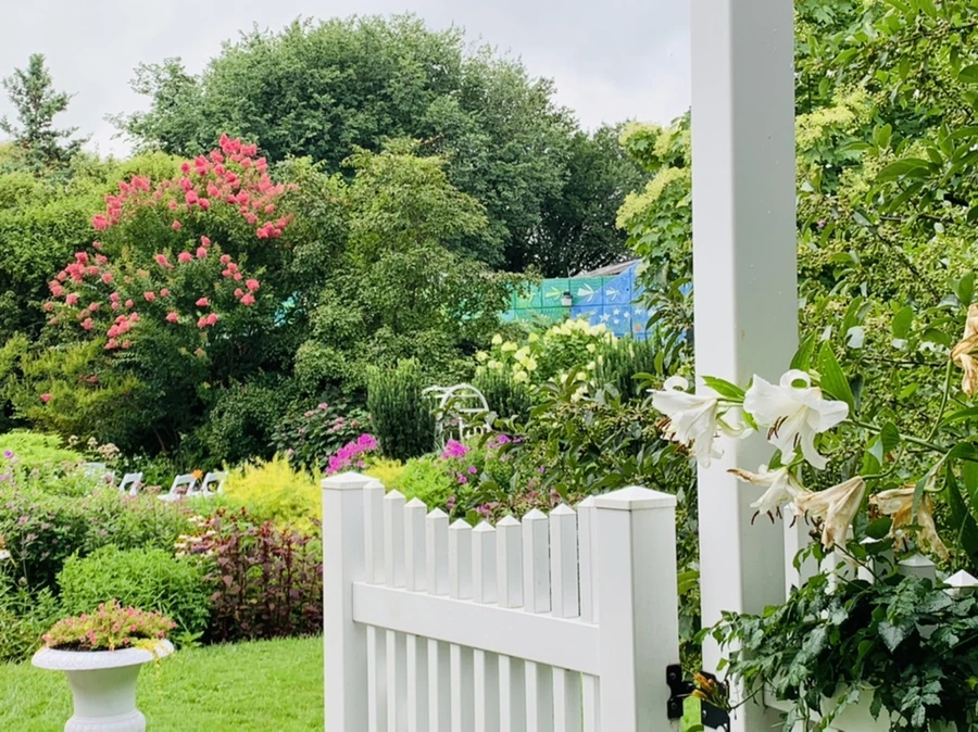 IMG_1072.jpg?type=w966