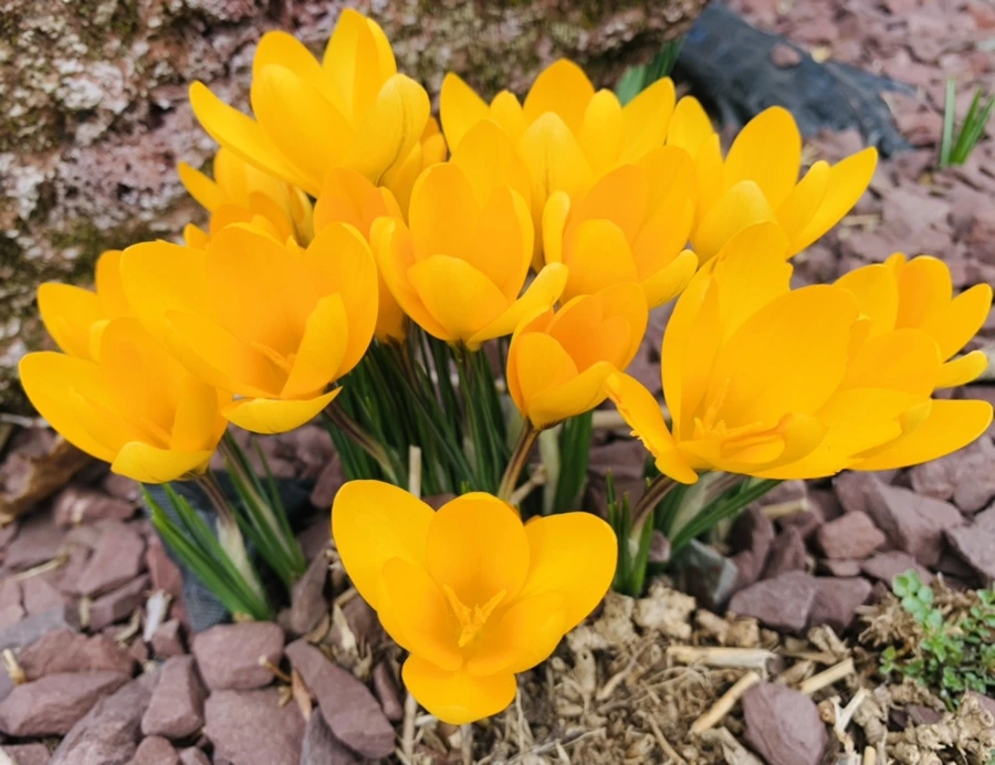 IMG_0546.jpg?type=w966