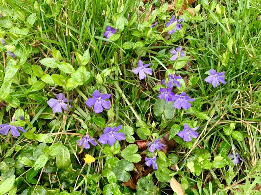 IMG_6210.jpg?type=w966