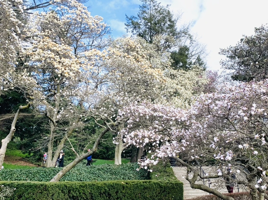 IMG_6495.jpg?type=w966